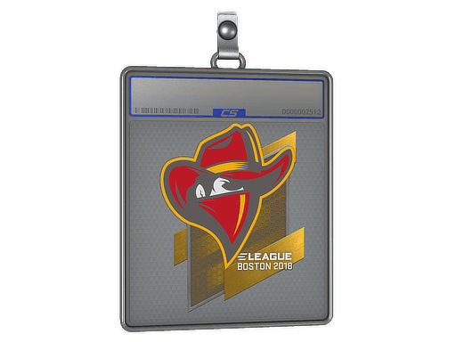 Sticker | Renegades | Boston 2018