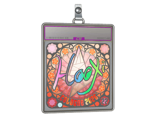 Sticker | HooXi (Holo, Ranked) | Cologne 2026