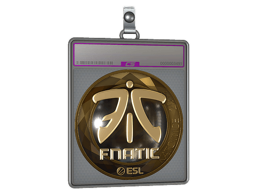 Sticker | Fnatic (Gold) | Katowice 2019