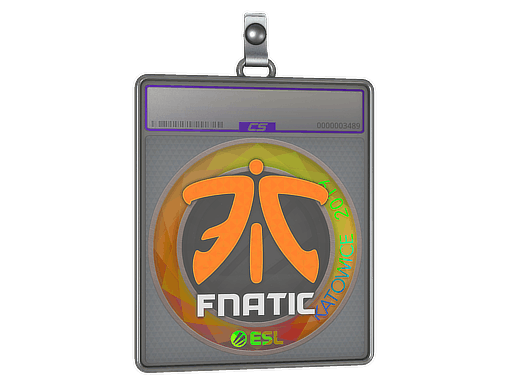 Sticker | Fnatic (Holo) | Katowice 2019