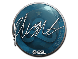 Sticker | flusha | Katowice 2019