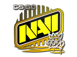 Sticker | Natus Vincere | 2020 RMR