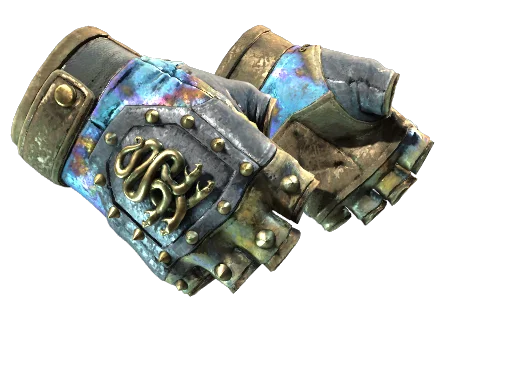 ★ Hydra Gloves | Case Hardened