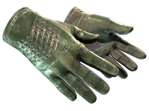 ★ Driver Gloves | Racing Green (Battle-Scarred)