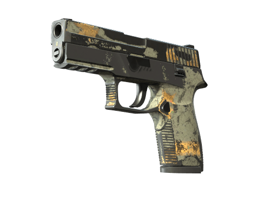 P250 | Modern Hunter