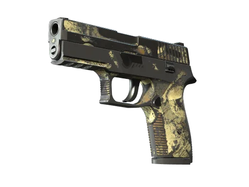 P250 | Contamination