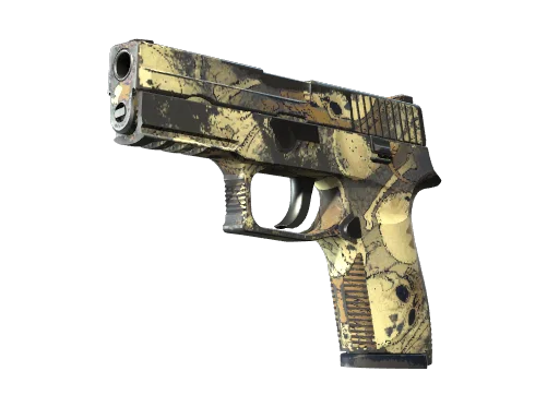 P250 | Contamination