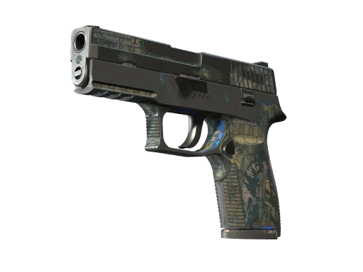 P250 | Exchanger