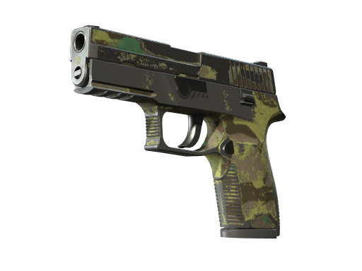 P250 | Boreal Forest