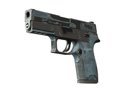 P250 | Forest Night
