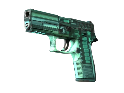 P250 | X-Ray