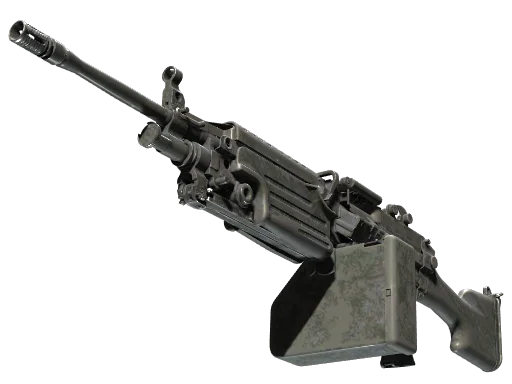 M249 | Midnight Palm