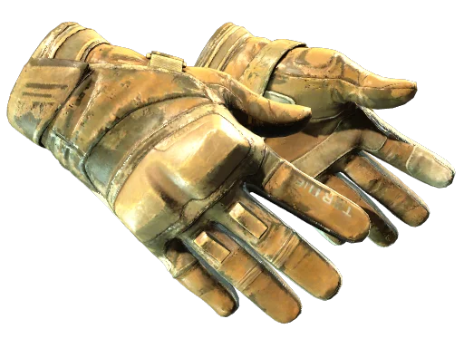 ★ Moto Gloves | Transport