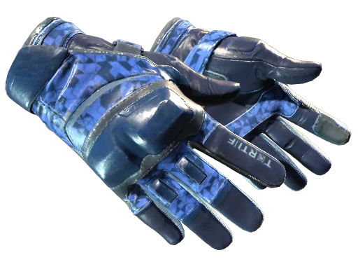 ★ Moto Gloves | Polygon