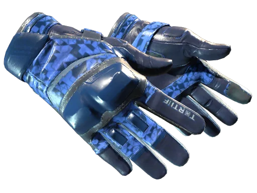 ★ Moto Gloves | Polygon
