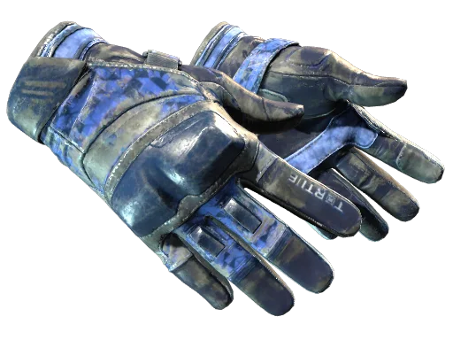★ Moto Gloves | Polygon
