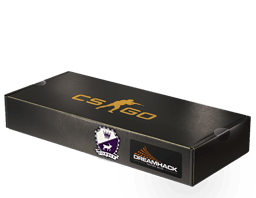 DreamHack 2014 Cobblestone Souvenir Package
