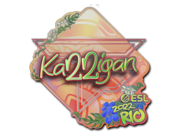 Sticker | karrigan (Holo) | Rio 2022