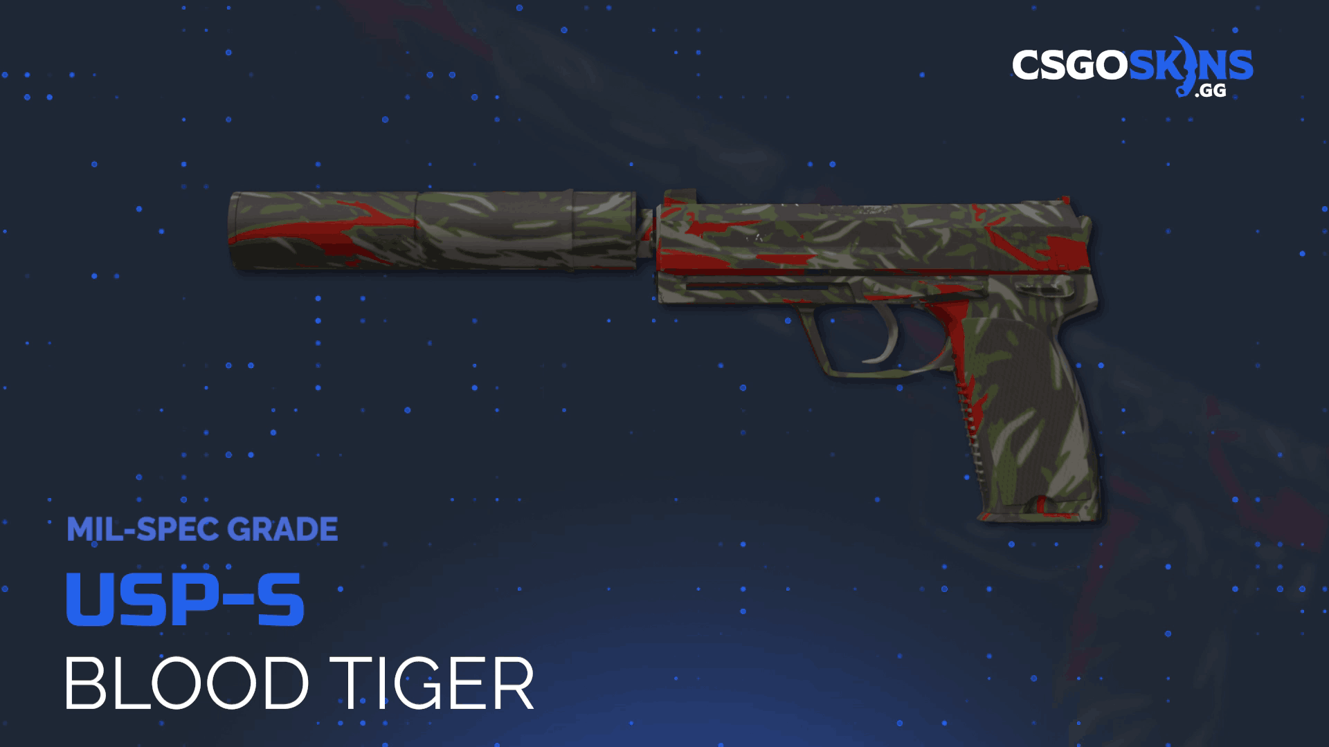 USP-S | Blood Tiger Gameplay Showcase