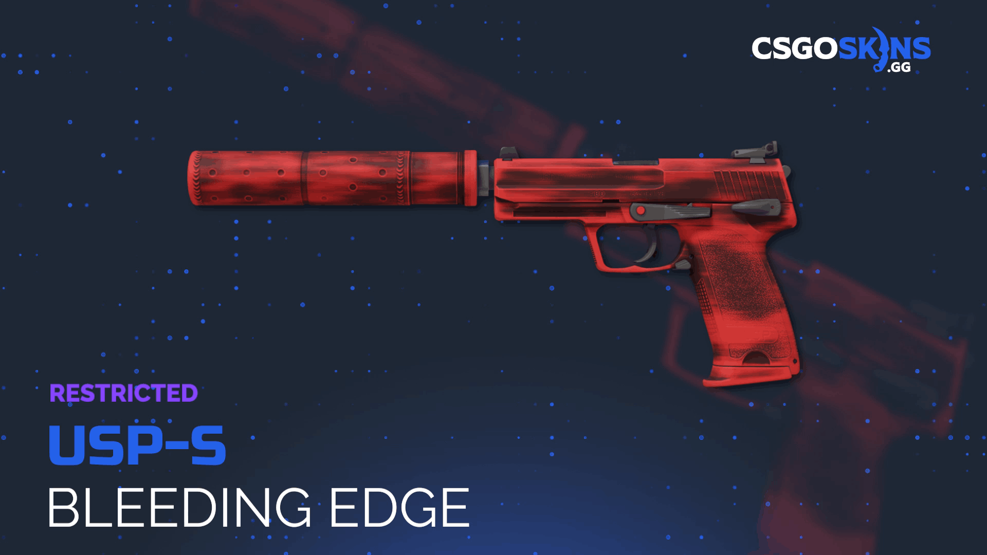 USP-S | Bleeding Edge Gameplay Showcase