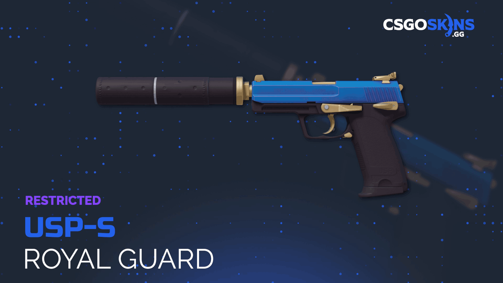 USP-S | Royal Guard Gameplay Showcase