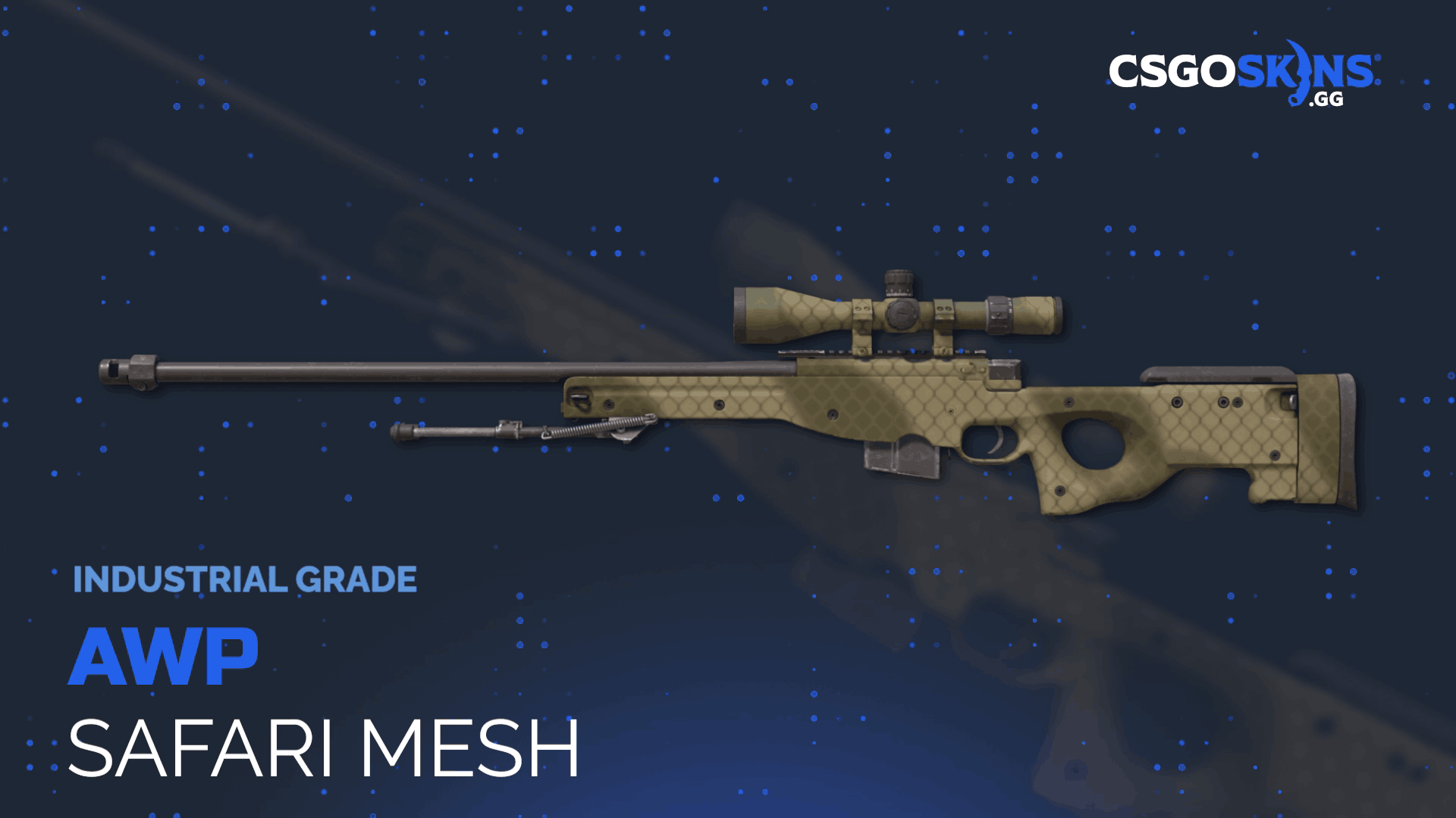 AWP | Safari Mesh Gameplay Showcase
