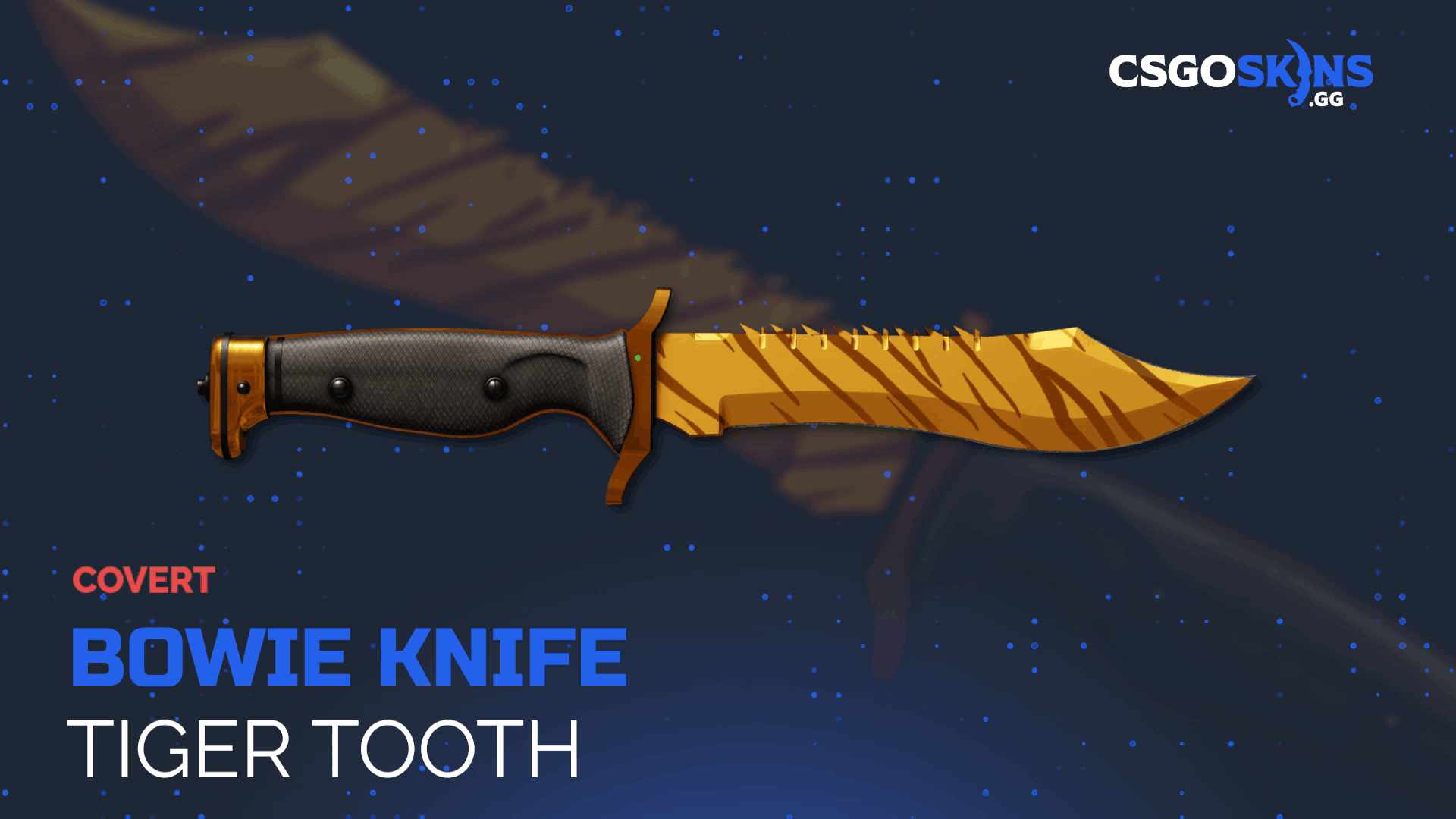 ★ Bowie Knife | Tiger Tooth Gameplay Showcase