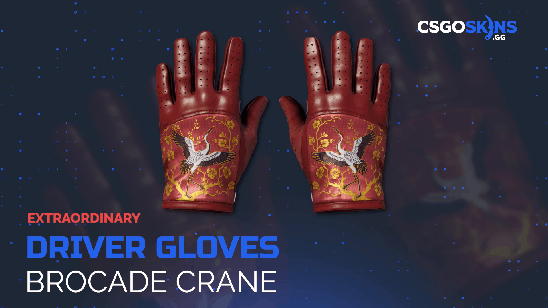 ★ Driver Gloves | Brocade Crane Gameplay Showcase