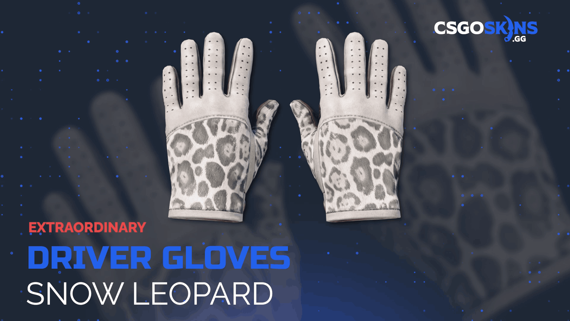 ★ Driver Gloves | Snow Leopard Gameplay Showcase