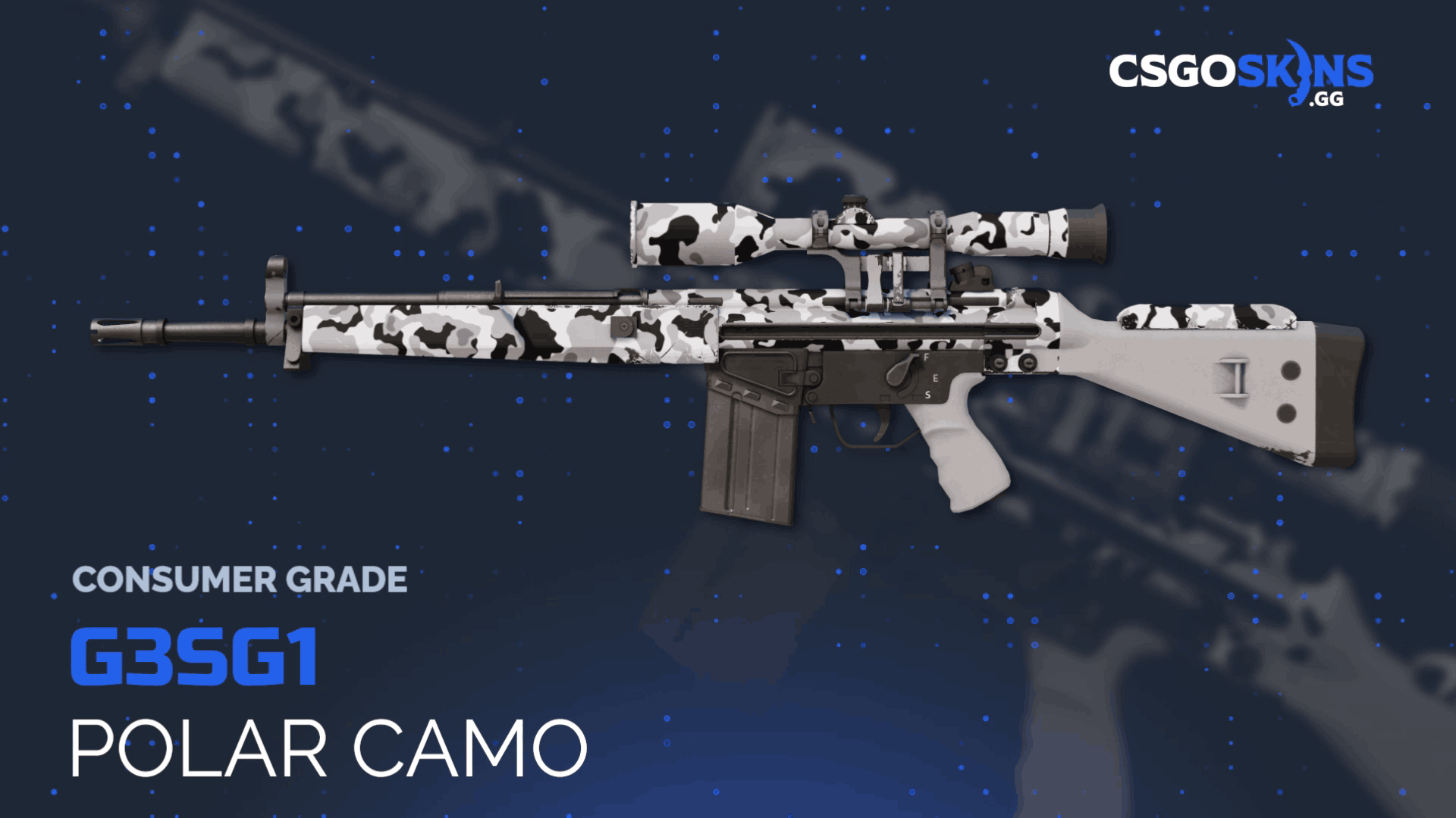 G3SG1 | Polar Camo Gameplay Showcase