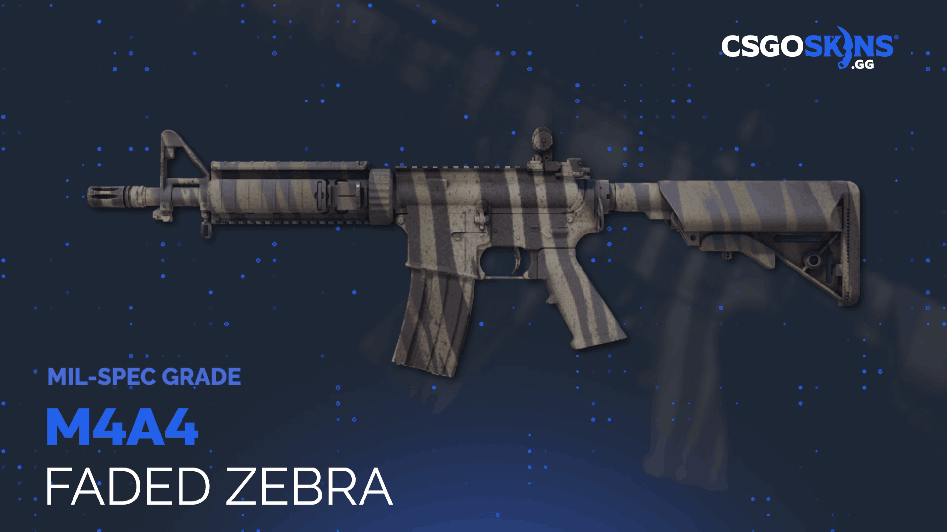 M4A4 | Faded Zebra Gameplay Showcase
