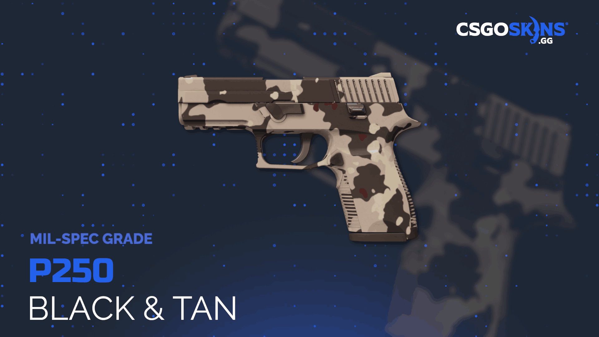 P250 | Black & Tan Gameplay Showcase
