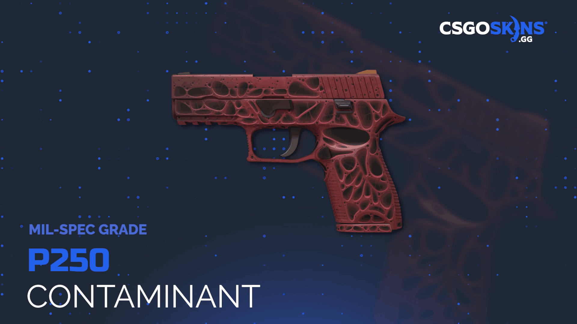 P250 | Contaminant Gameplay Showcase