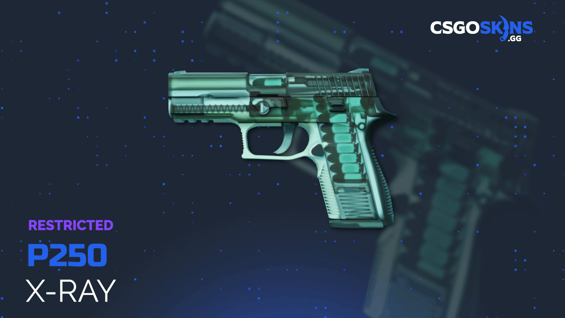 P250 | X-Ray Gameplay Showcase