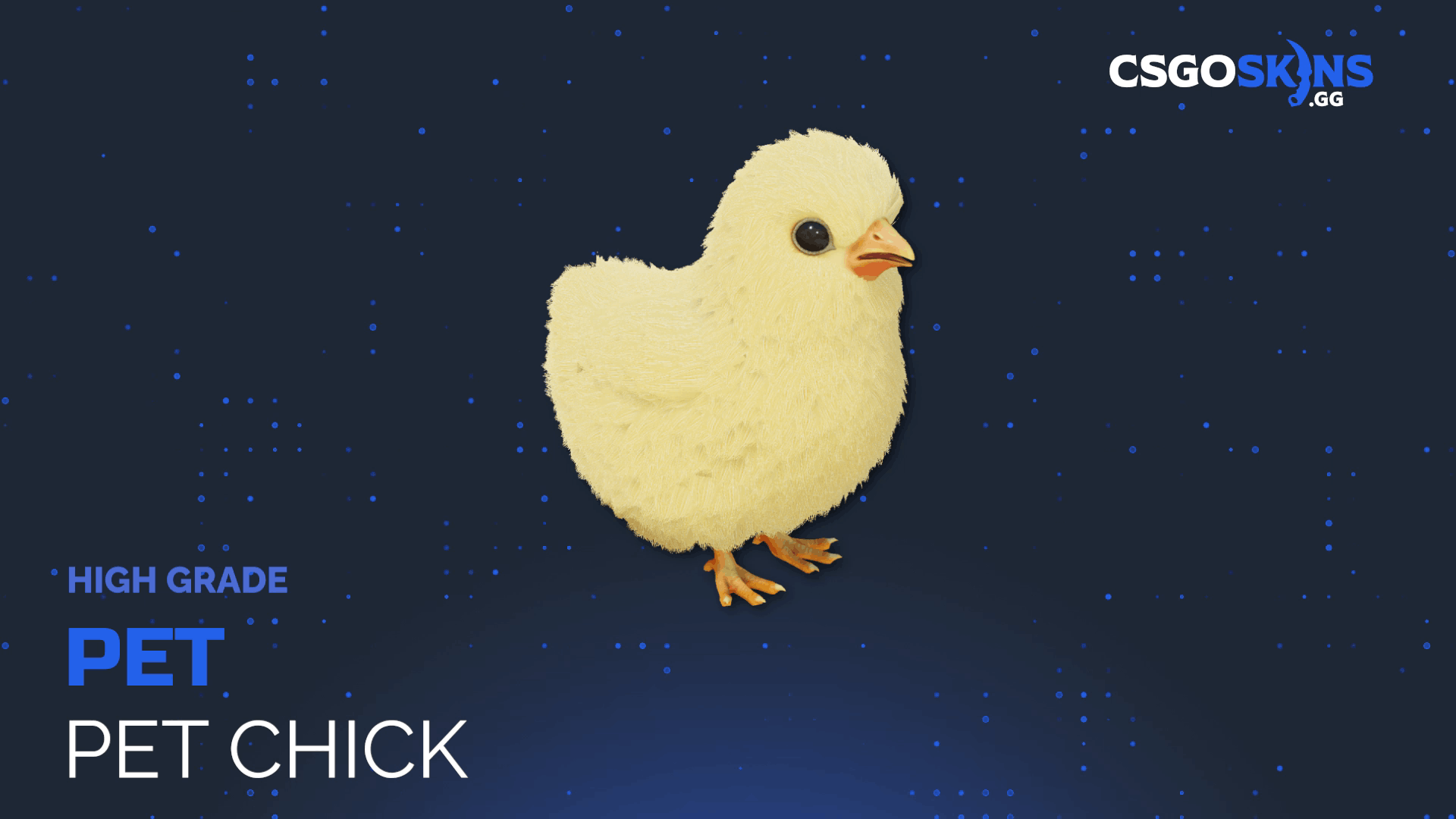 Pet Chick Gameplay Showcase