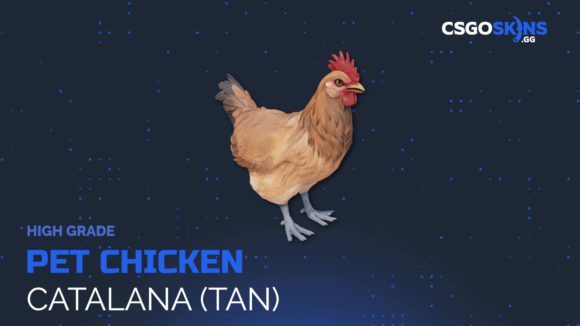 Pet Chicken | Catalana (Tan) Gameplay Showcase