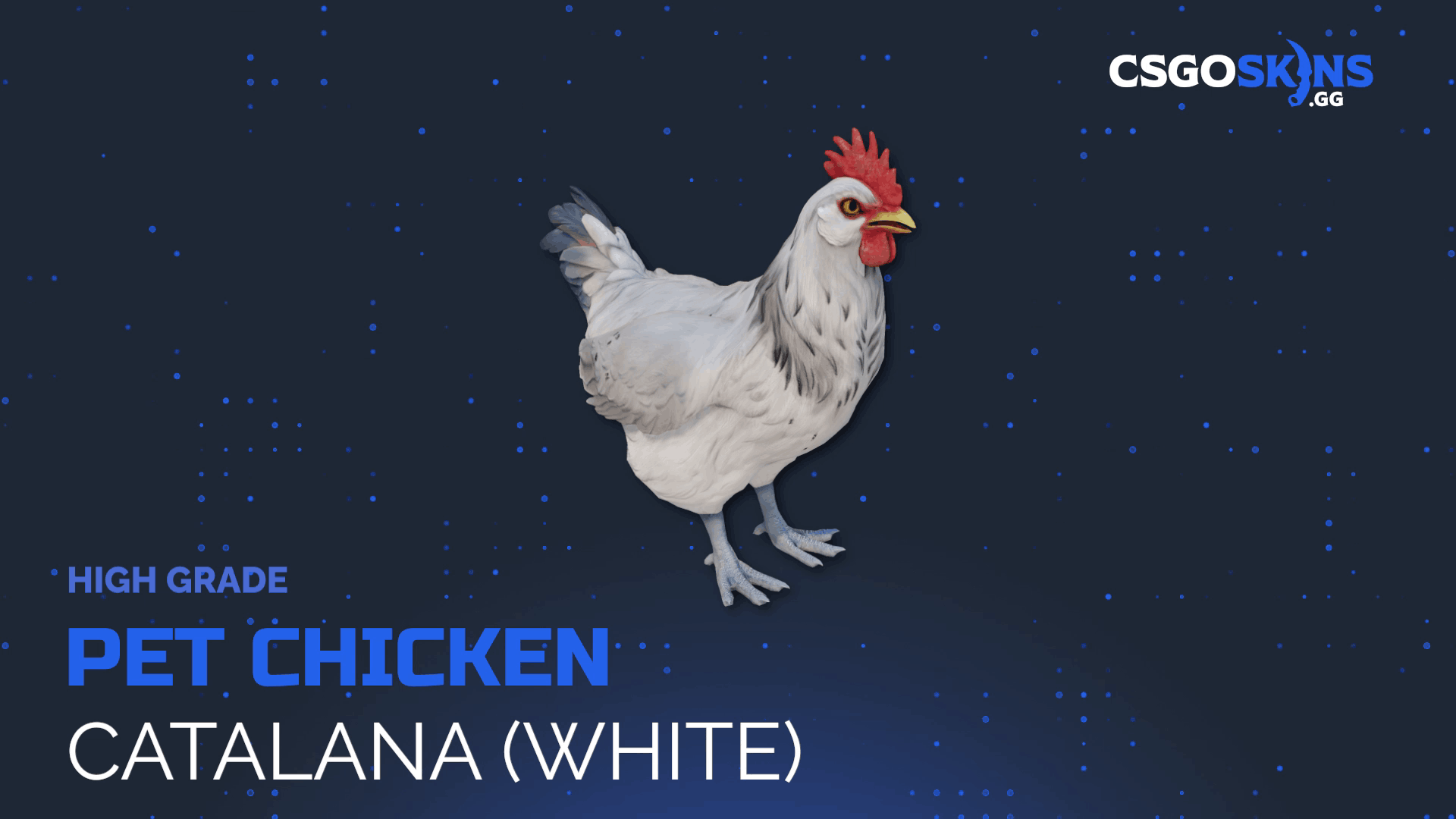 Pet Chicken | Catalana (White) Gameplay Showcase