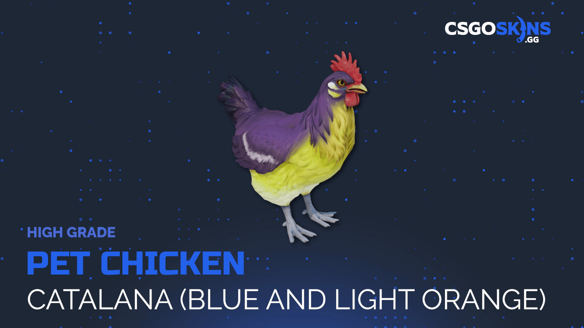 Pet Chicken | Catalana (Blue And Light Orange) Gameplay Showcase