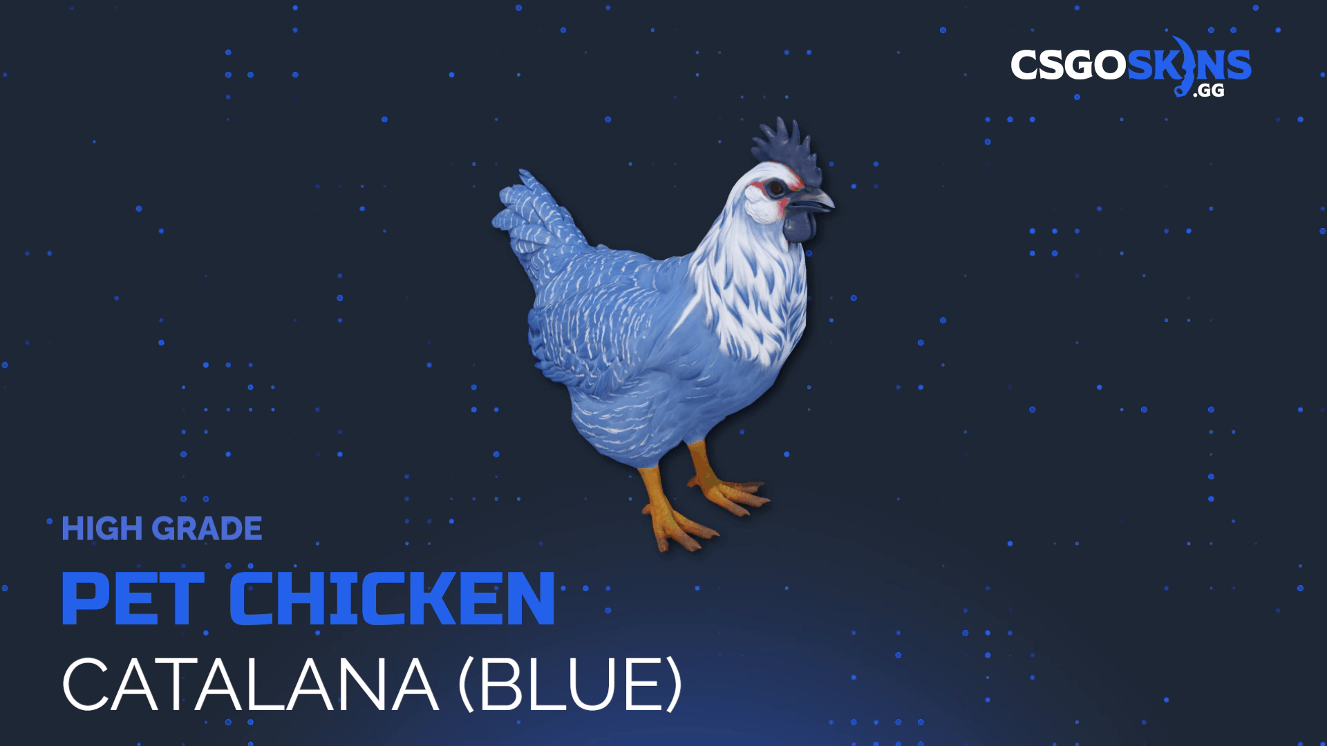 Pet Chicken | Catalana (Blue) Gameplay Showcase