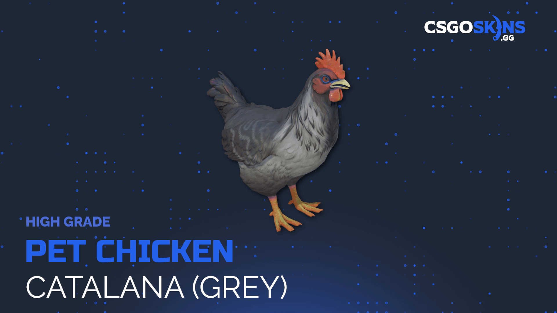 Pet Chicken | Catalana (Grey) Gameplay Showcase