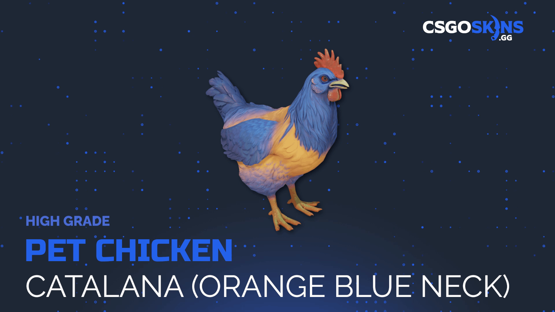 Pet Chicken | Catalana (Orange Blue Neck) Gameplay Showcase
