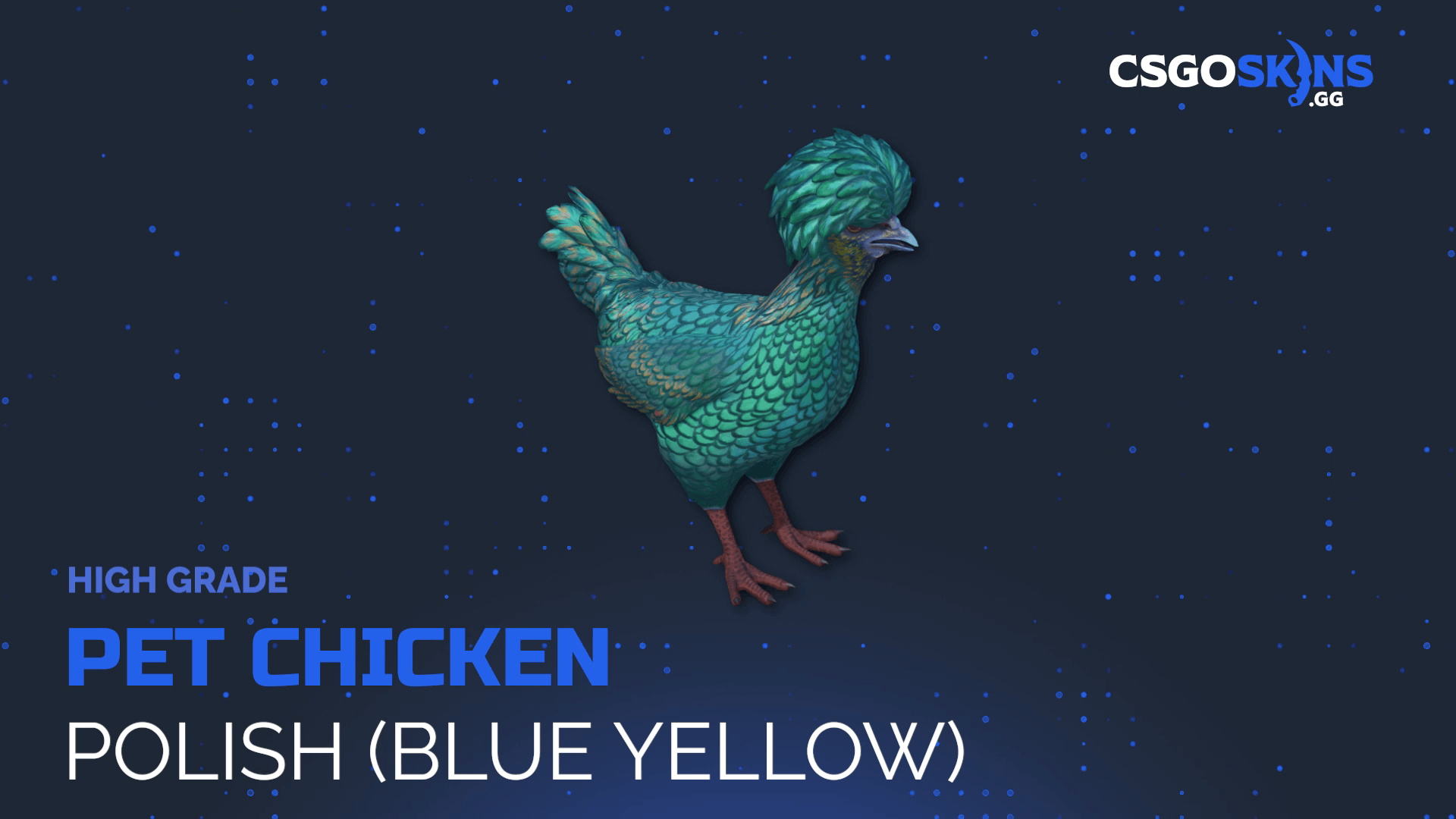 Pet Chicken | Polish (Blue Yellow) Gameplay Showcase