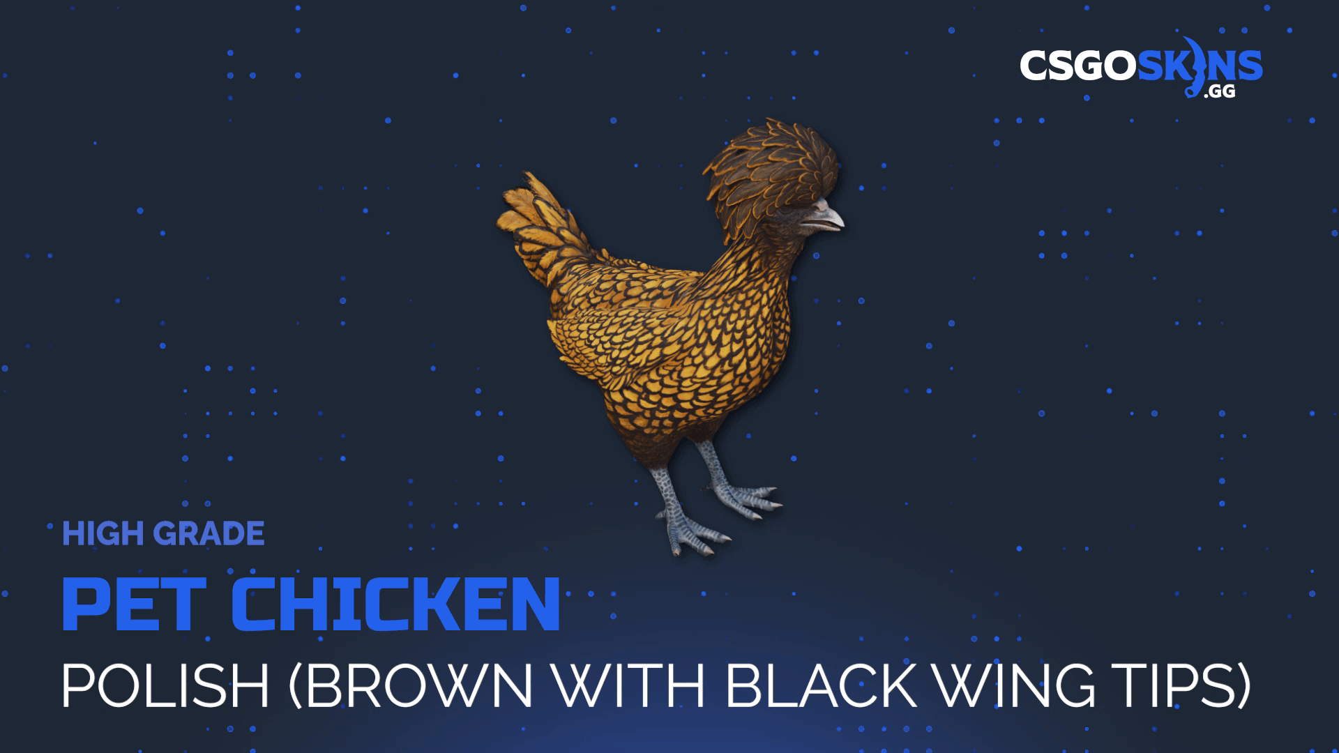 Pet Chicken | Polish (Brown With Black Wing Tips) Gameplay Showcase