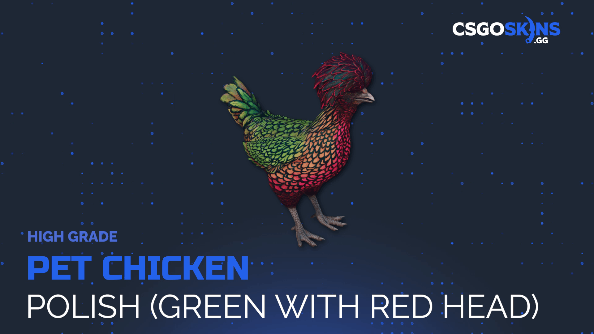 Pet Chicken | Polish (Green With Red Head) Gameplay Showcase