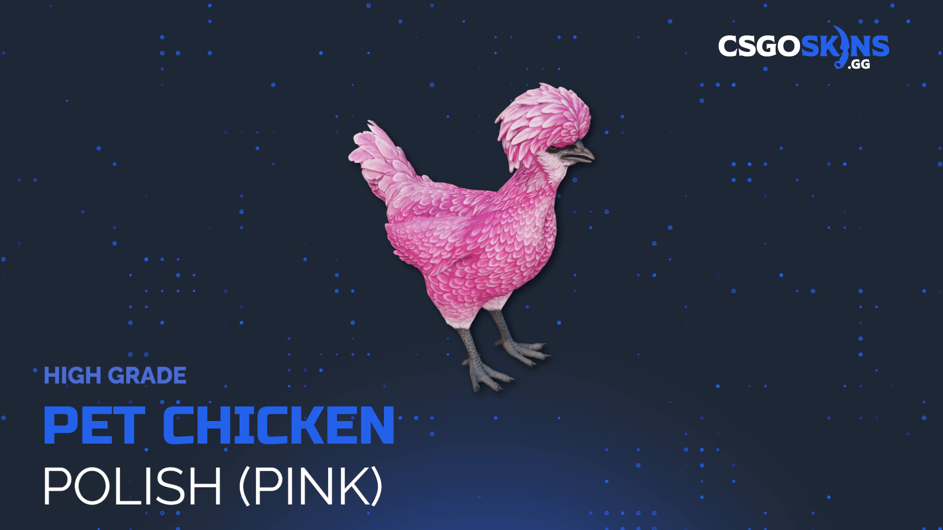 Pet Chicken | Polish (Pink) Gameplay Showcase