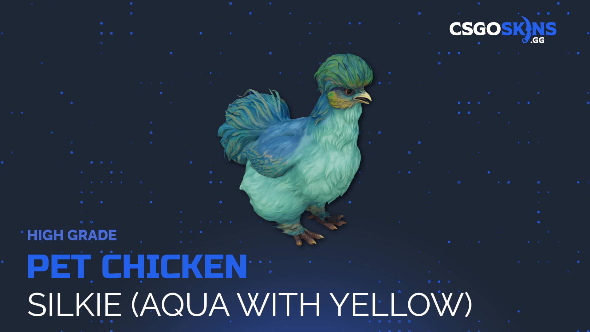 Pet Chicken | Silkie (Aqua With Yellow) Gameplay Showcase