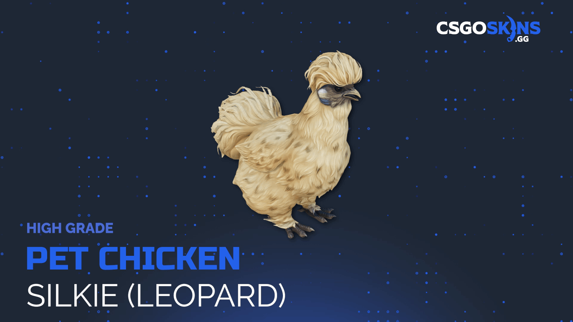 Pet Chicken | Silkie (Leopard) Gameplay Showcase