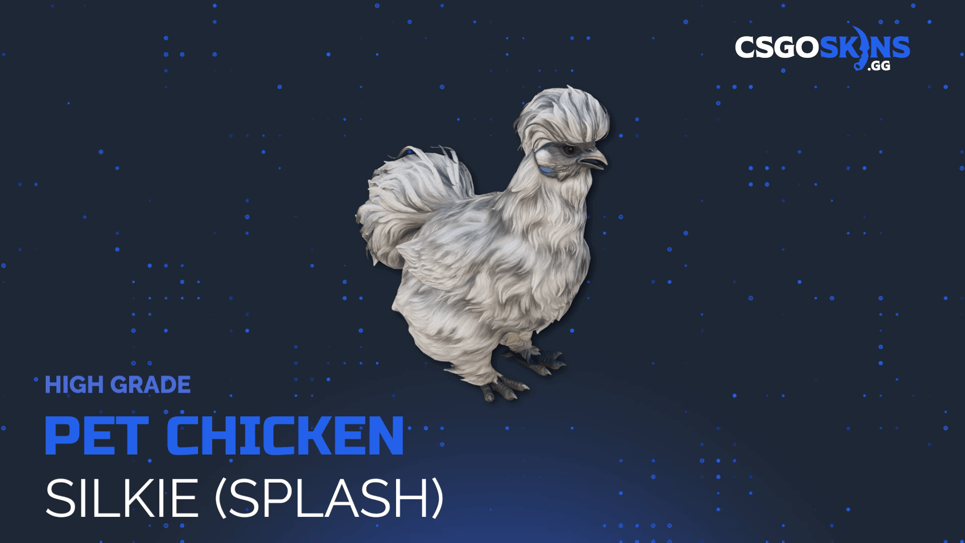 Pet Chicken | Silkie (Splash) Gameplay Showcase
