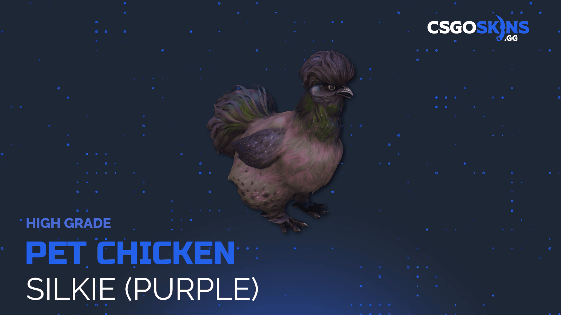 Pet Chicken | Silkie (Purple) Gameplay Showcase