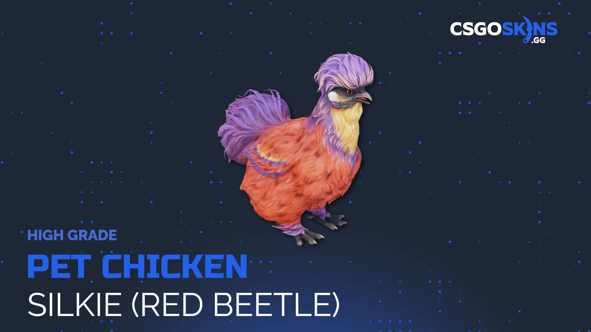 Pet Chicken | Silkie (Red Beetle) Gameplay Showcase
